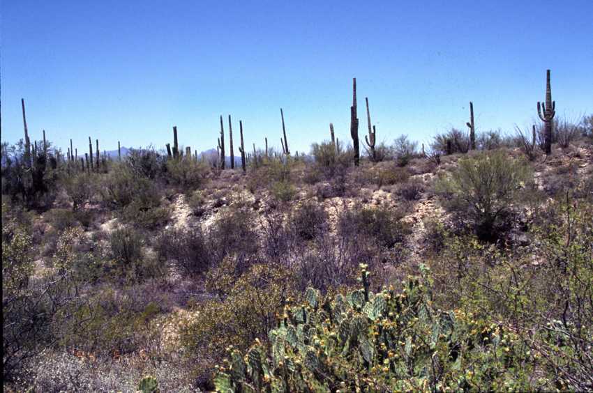 az01.jpg