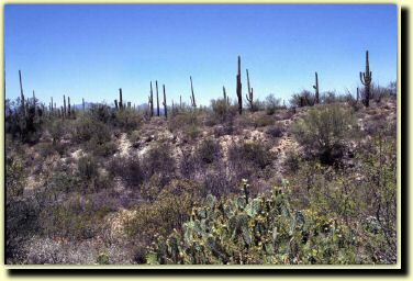 az01.jpg