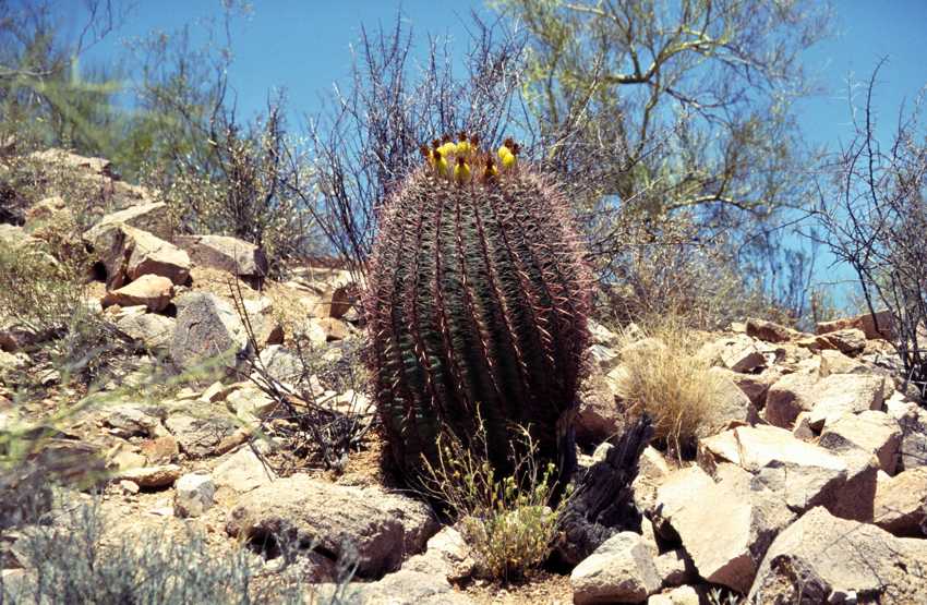 az03.jpg