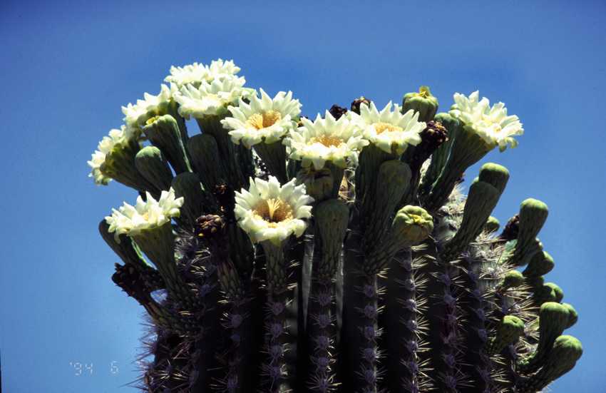 az04.jpg
