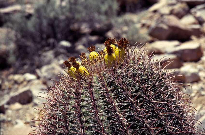 az05.jpg