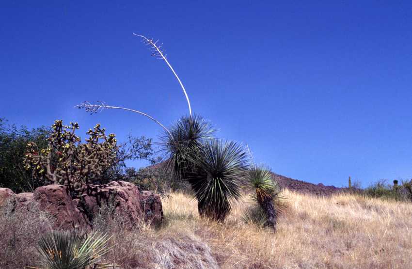 az07.jpg