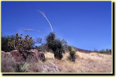 az07.jpg