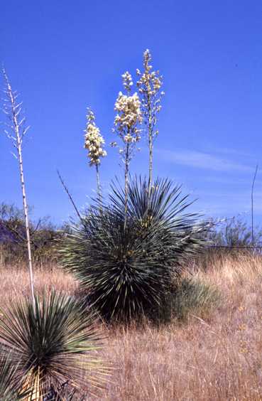 az08.jpg
