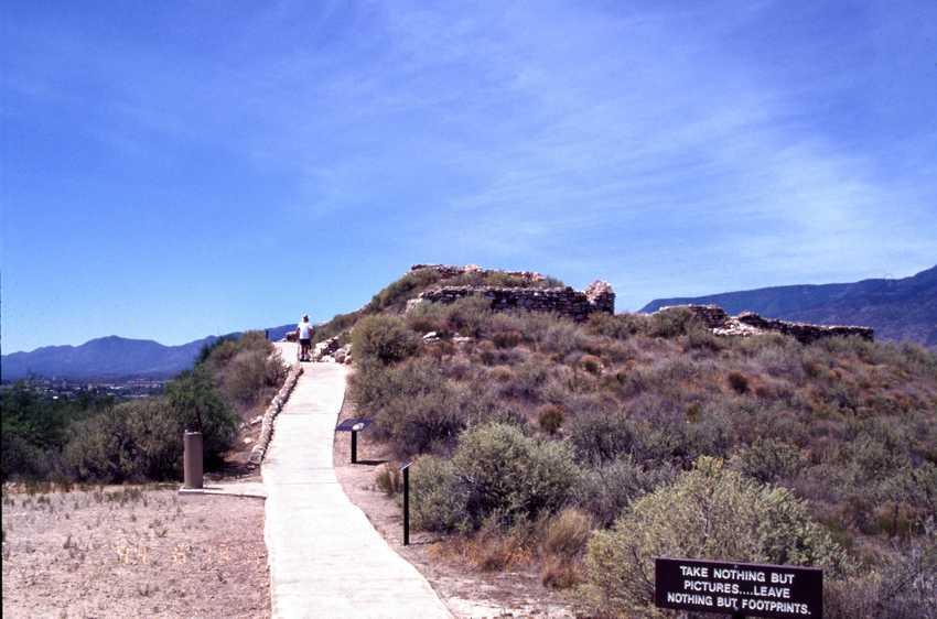 az19.jpg