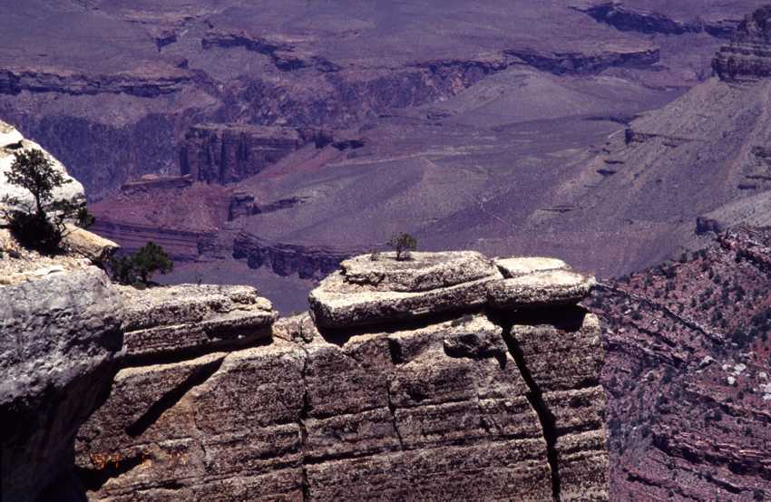 az28.jpg