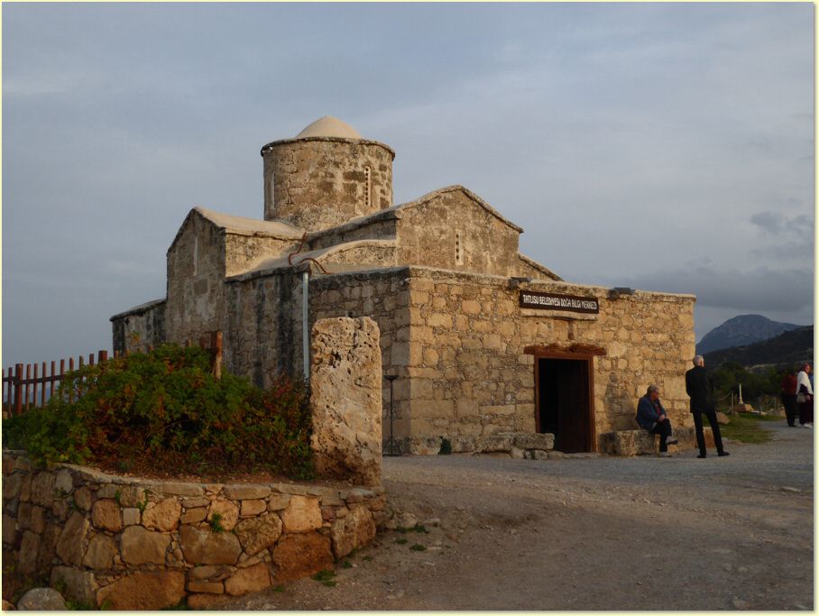 cyp140.jpg