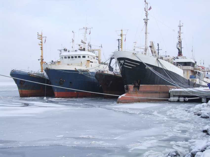 hr07601.jpg