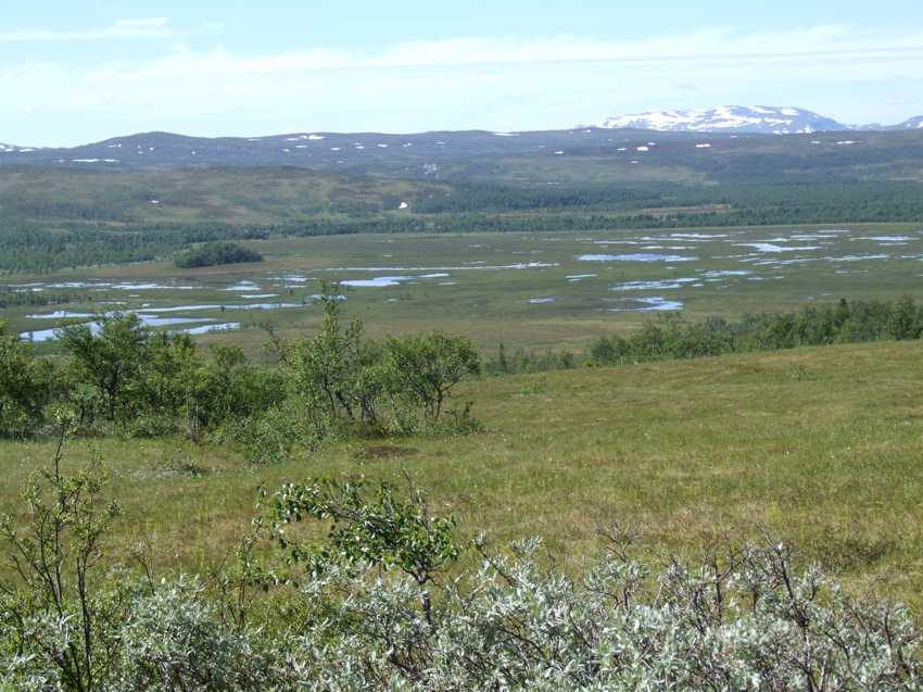 j10701.jpg