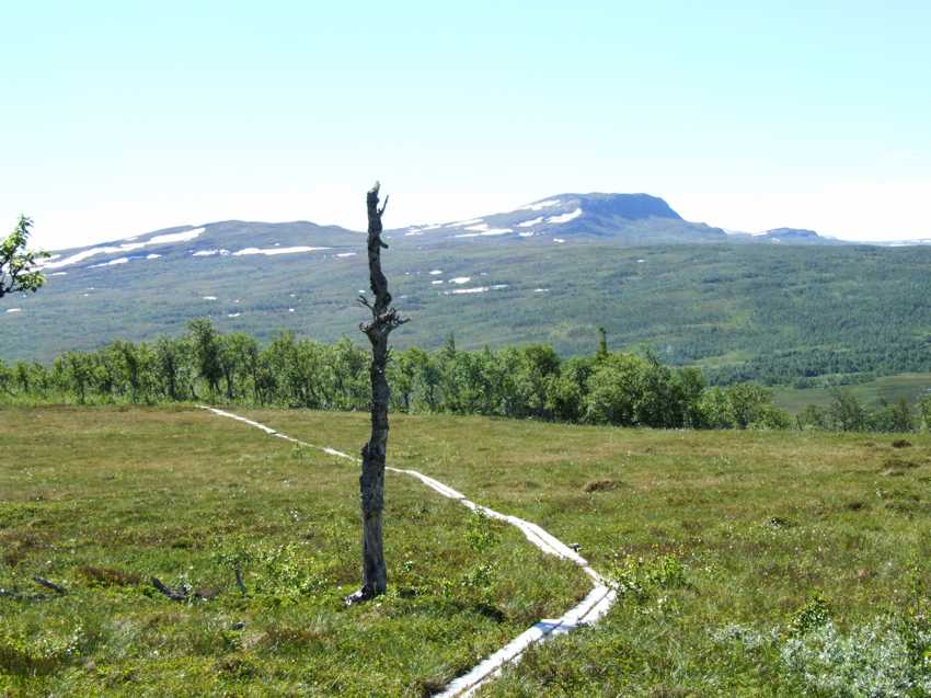 j10801.jpg