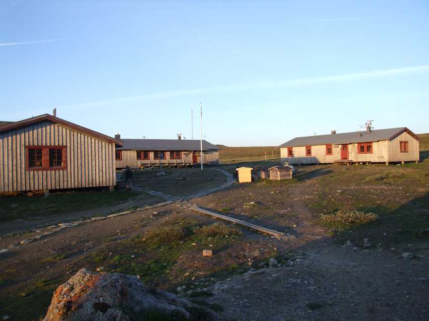 j31301.jpg