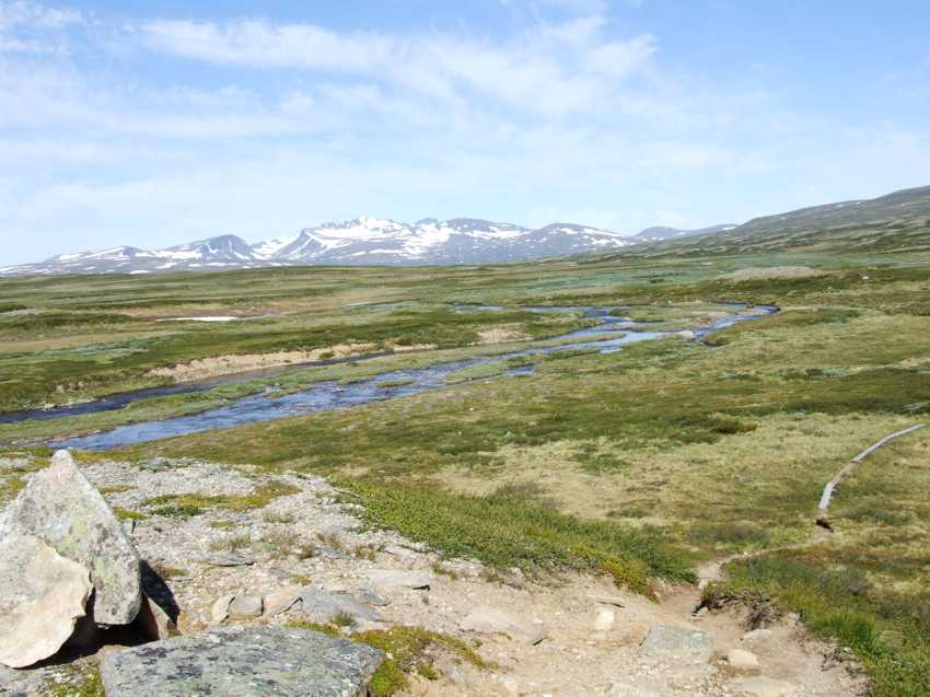 j40401.jpg