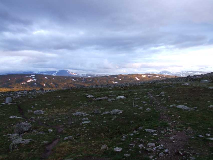 j41001.jpg