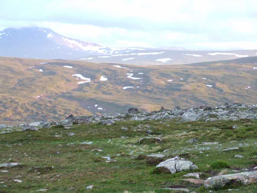 j41201.jpg