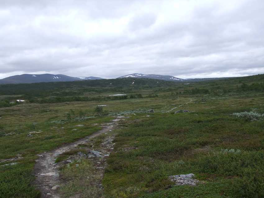 j60401.jpg