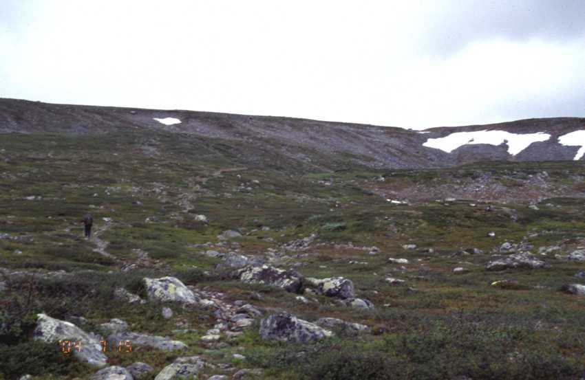 fj0406.jpg