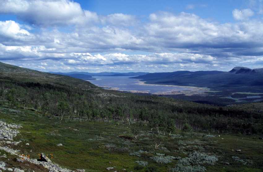 fj0429.jpg
