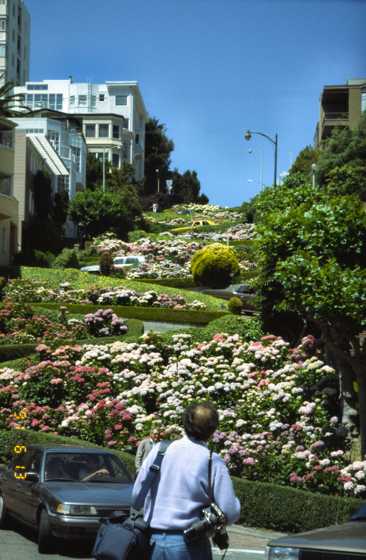 sf06.jpg