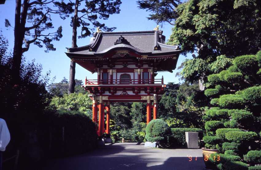 sf07.jpg