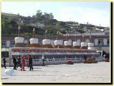 tb0240.jpg