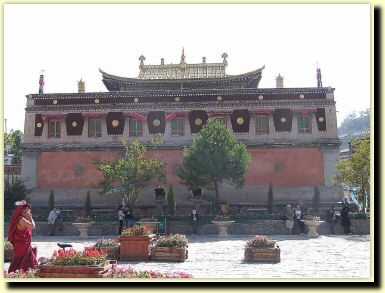 tb0250.jpg