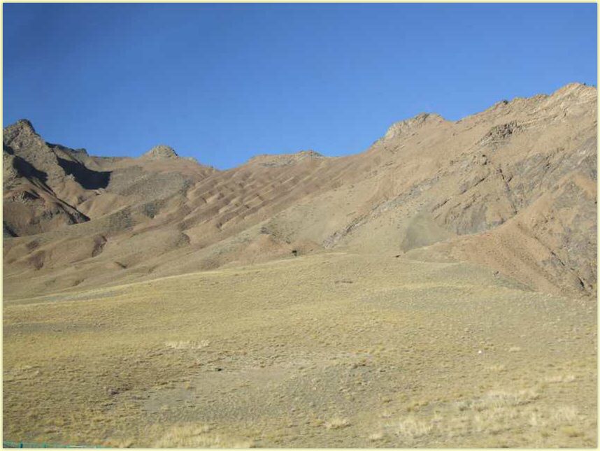tb0350.jpg
