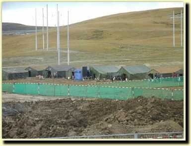 tb0450.jpg