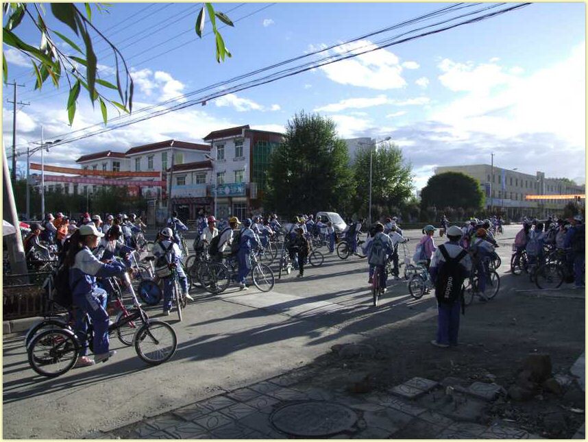 tb0800.jpg