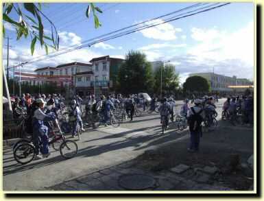 tb0800.jpg