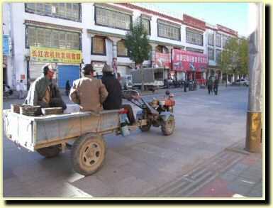 tb0820.jpg