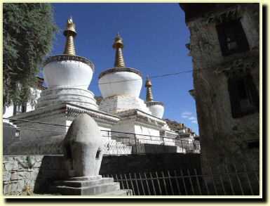 tb0860.jpg