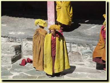 tb0880.jpg