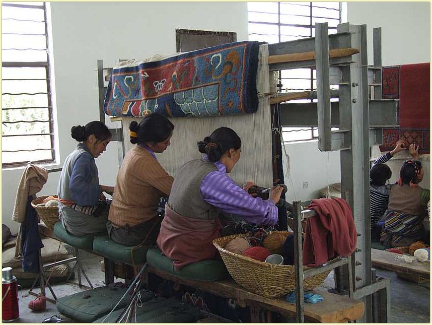 tb0950.jpg