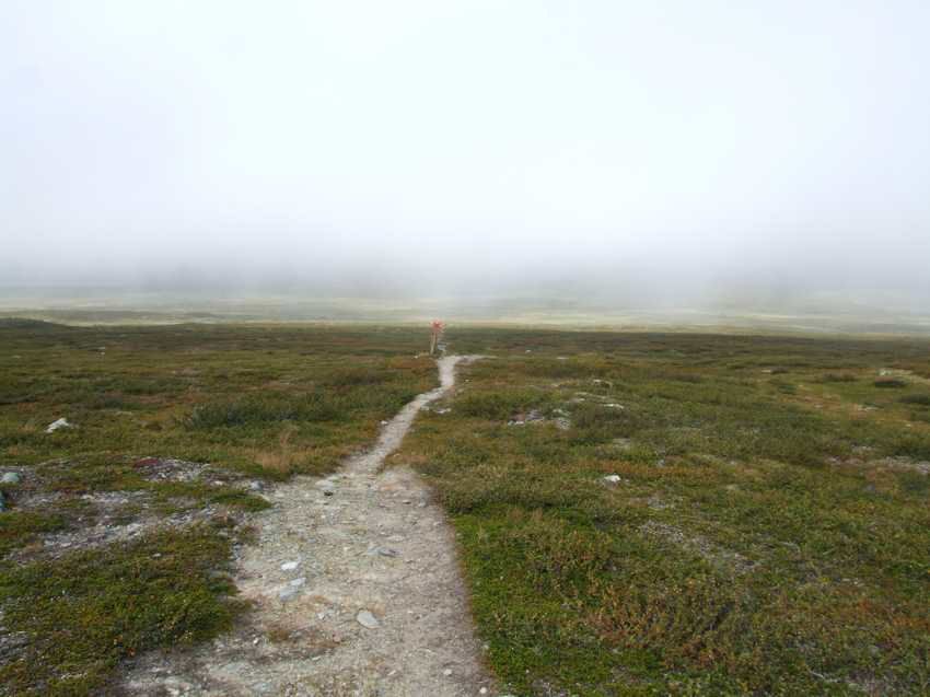 am100120.jpg