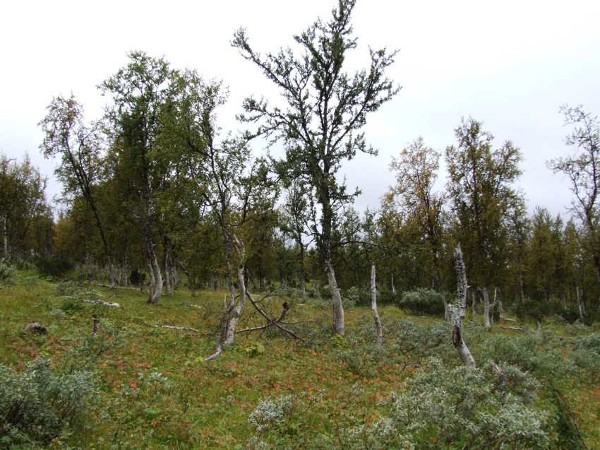 am100150.jpg