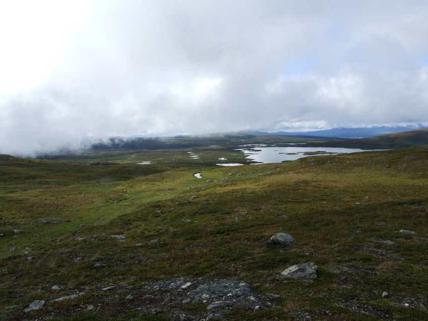 am100190.jpg