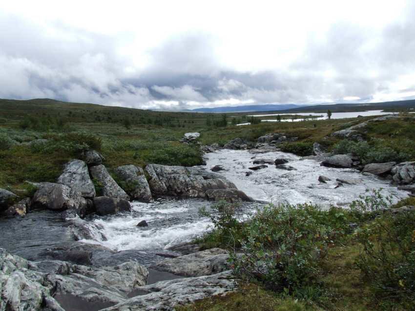 am100200.jpg