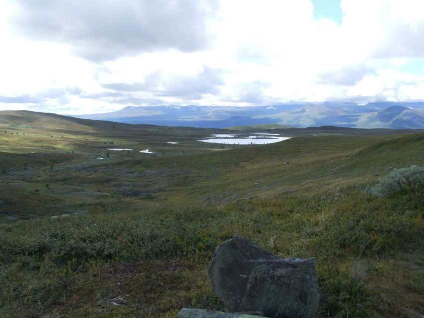 am100220.jpg