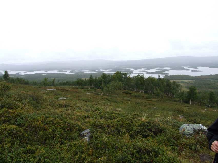 am100320.jpg
