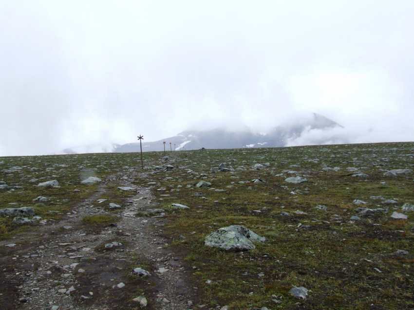 am100340.jpg
