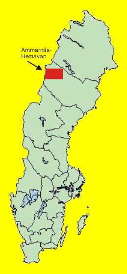 svku3.jpg