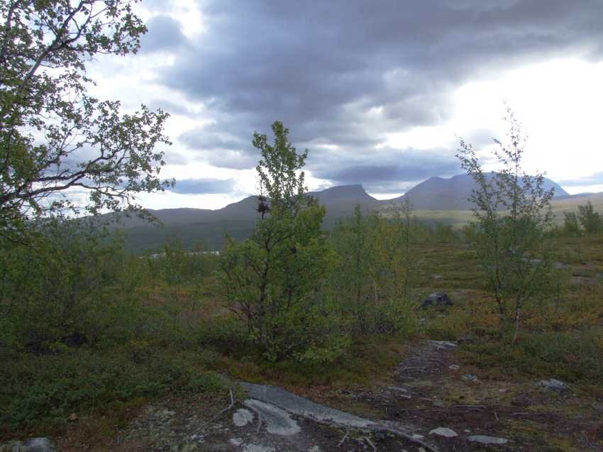 ab080.jpg