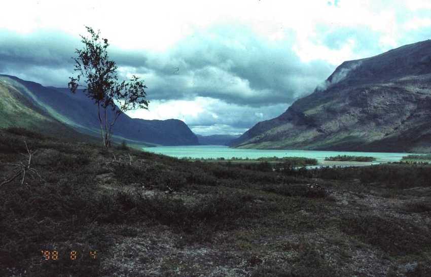 Fj980208.jpg