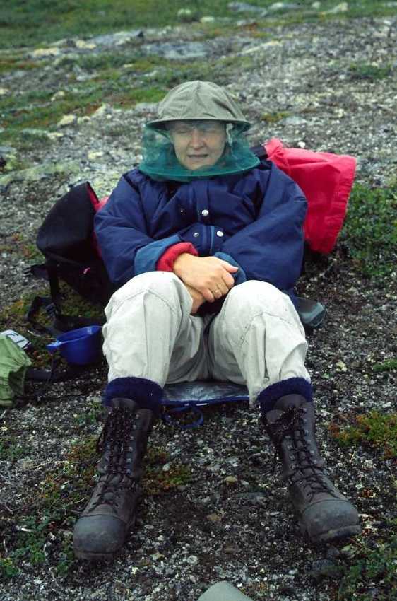 Fj980211.jpg
