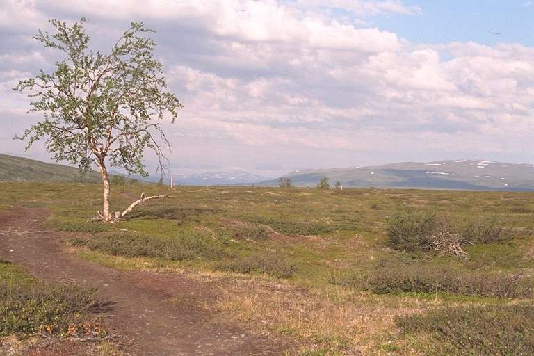IMG0003.jpg