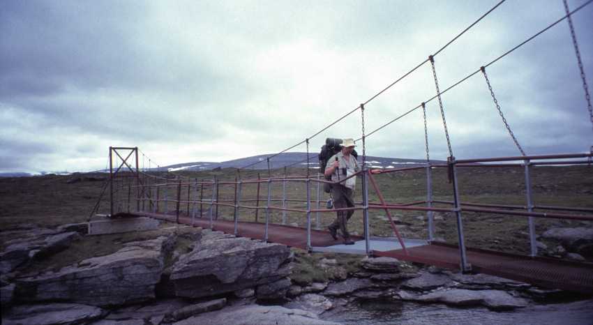 fj990203.jpg
