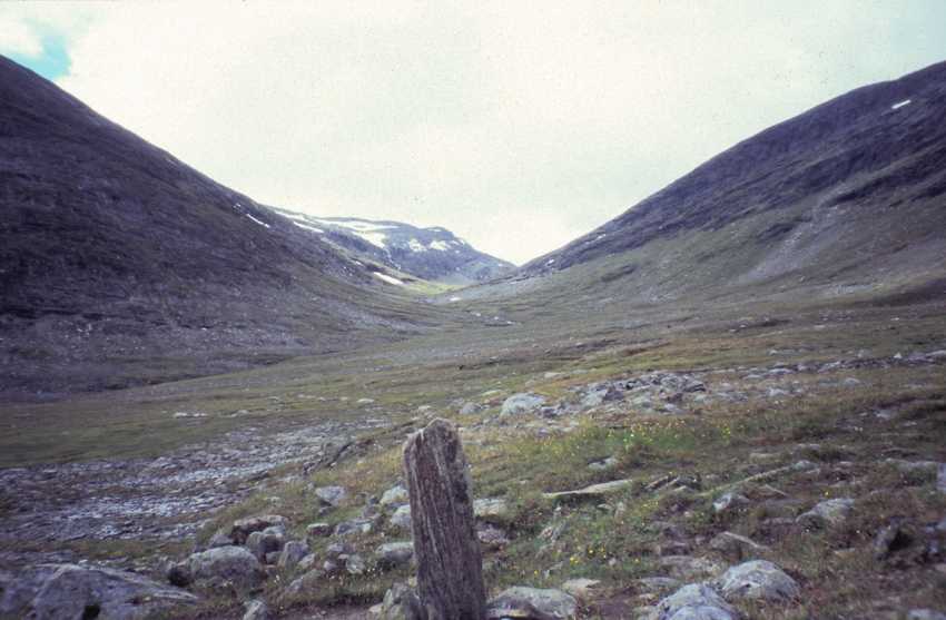 fj990204.jpg