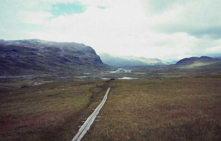 fj990209.jpg