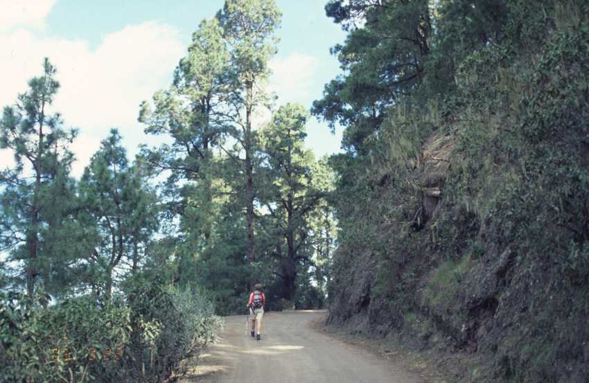 tf09.jpg