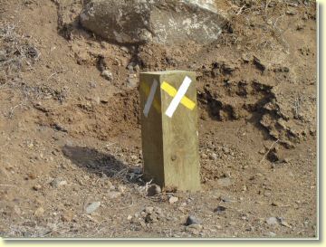 tf20120411.jpg